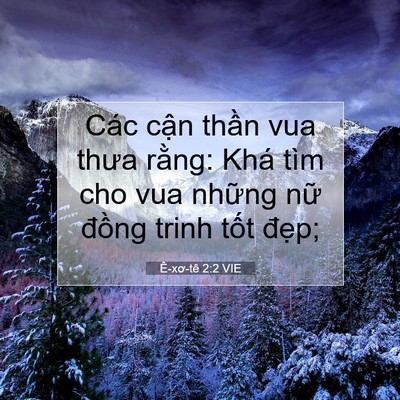 Picture 07 - Ê-xơ-tê 2:2 VIE - Các cận thần vua thưa rằng: Khá tìm cho - Bible Verse Picture