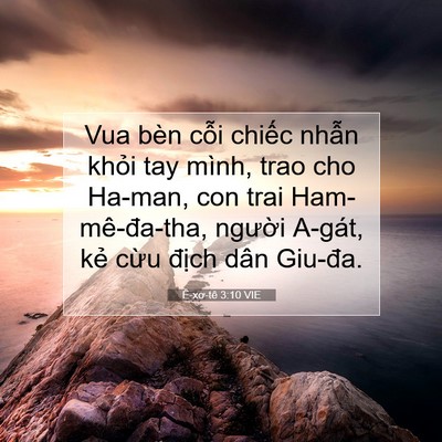 Picture 07 - Ê-xơ-tê 3:10 VIE - Vua bèn cỗi chiếc nhẫn khỏi tay mình, - Bible Verse Picture