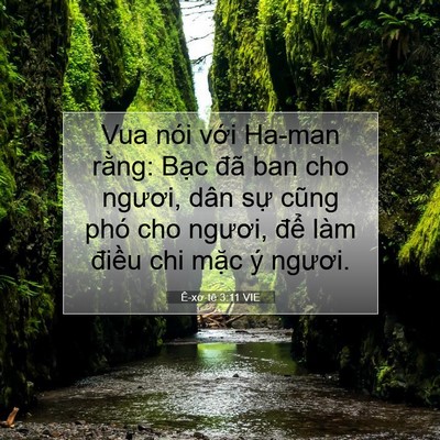 Picture 07 - Ê-xơ-tê 3:11 VIE - Vua nói với Ha-man rằng: Bạc đã ban cho - Bible Verse Picture
