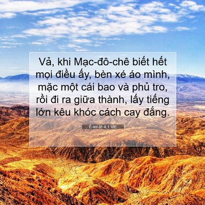 Picture 07 - Ê-xơ-tê 4:1 VIE - Vả, khi Mạc-đô-chê biết hết mọi - Bible Verse Picture