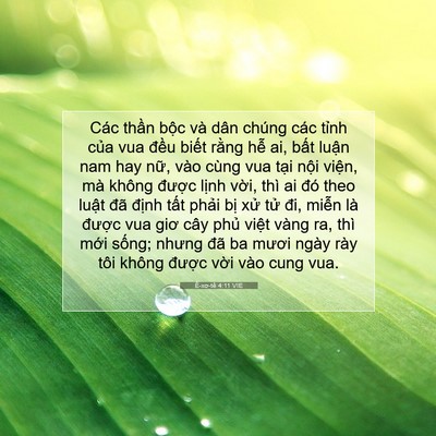 Picture 07 - Ê-xơ-tê 4:11 VIE - Các thần bộc và dân chúng các tỉnh - Bible Verse Picture