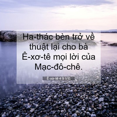 Picture 07 - Ê-xơ-tê 4:9 VIE - Ha-thác bèn trở về thuật lại cho bà - Bible Verse Picture