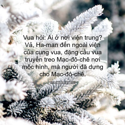 Picture 07 - Ê-xơ-tê 6:4 VIE - Vua hỏi: Ai ở nơi viện trung? Vả, Ha-man - Bible Verse Picture