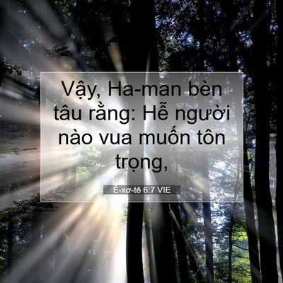 Picture 07 - Ê-xơ-tê 6:7 VIE - Vậy, Ha-man bèn tâu rằng: Hễ người - Bible Verse Picture