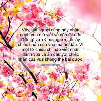 Picture 07 - Ê-xơ-tê 8:8 VIE - Vậy, hai ngươi cũng hãy nhân danh vua mà - Bible Verse Picture
