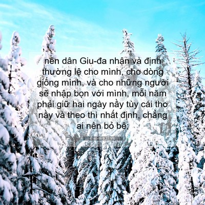 Picture 07 - Ê-xơ-tê 9:27 VIE - nên dân Giu-đa nhận và định thường - Bible Verse Picture