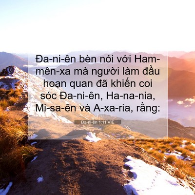 Picture 07 - Ða-ni-ên 1:11 VIE - Đa-ni-ên bèn nói với Ham-mên-xa mà - Bible Verse Picture