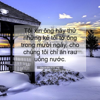 Picture 07 - Ða-ni-ên 1:12 VIE - Tôi xin ông hãy thử những kẻ tôi tớ - Bible Verse Picture