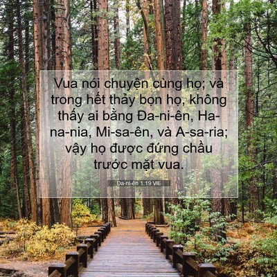 Picture 07 - Ða-ni-ên 1:19 VIE - Vua nói chuyện cùng họ; và trong hết - Bible Verse Picture