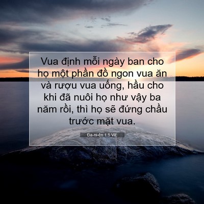 Picture 07 - Ða-ni-ên 1:5 VIE - Vua định mỗi ngày ban cho họ một phần - Bible Verse Picture