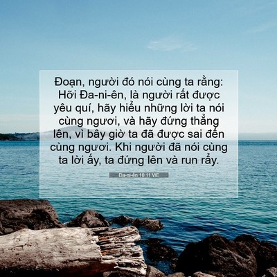 Picture 07 - Ða-ni-ên 10:11 VIE - Đoạn, người đó nói cùng ta rằng: - Bible Verse Picture