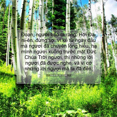 Picture 07 - Ða-ni-ên 10:12 VIE - Đoạn, người bảo ta rằng: Hỡi - Bible Verse Picture