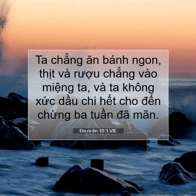 Picture 07 - Ða-ni-ên 10:3 VIE - Ta chẳng ăn bánh ngon, thịt và rượu - Bible Verse Picture