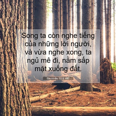 Picture 07 - Ða-ni-ên 10:9 VIE - Song ta còn nghe tiếng của những lời - Bible Verse Picture
