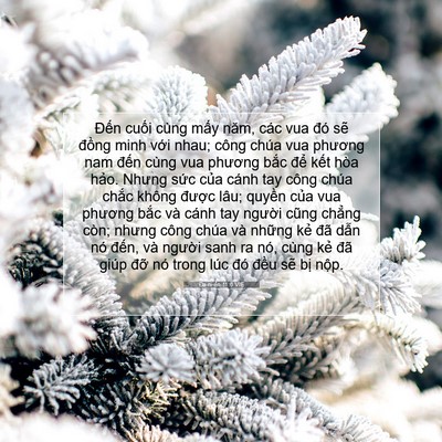 Picture 07 - Ða-ni-ên 11:6 VIE - Đến cuối cùng mấy năm, các vua đó - Bible Verse Picture