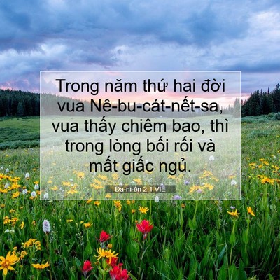 Picture 07 - Ða-ni-ên 2:1 VIE - Trong năm thứ hai đời vua - Bible Verse Picture