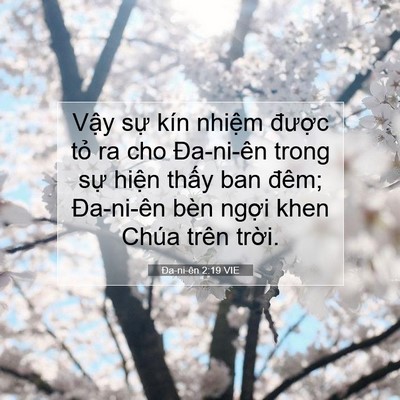 Picture 07 - Ða-ni-ên 2:19 VIE - Vậy sự kín nhiệm được tỏ ra cho - Bible Verse Picture