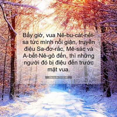 Picture 07 - Ða-ni-ên 3:13 VIE - Bấy giờ, vua Nê-bu-cát-nết-sa tức mình - Bible Verse Picture
