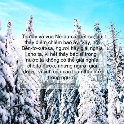 Picture 07 - Ða-ni-ên 4:18 VIE - Ta đây và vua Nê-bu-cát-nết-sa, đã - Bible Verse Picture