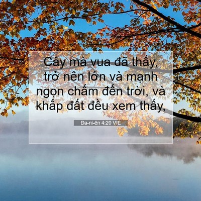 Picture 07 - Ða-ni-ên 4:20 VIE - Cây mà vua đã thấy, trở nên lớn và - Bible Verse Picture