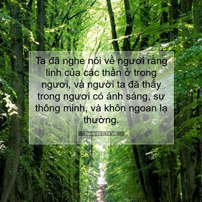 Picture 07 - Ða-ni-ên 5:14 VIE - Ta đã nghe nói về ngươi rằng linh của - Bible Verse Picture