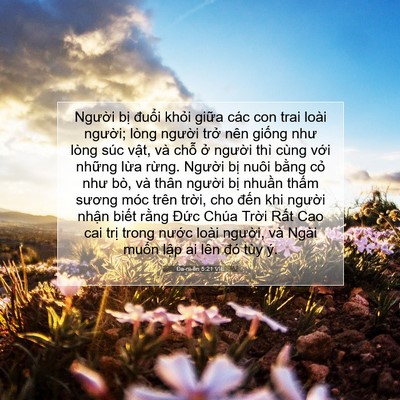 Picture 07 - Ða-ni-ên 5:21 VIE - Người bị đuổi khỏi giữa các con trai - Bible Verse Picture