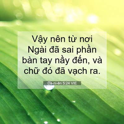 Picture 07 - Ða-ni-ên 5:24 VIE - Vậy nên từ nơi Ngài đã sai phần bàn - Bible Verse Picture