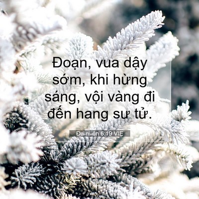 Picture 07 - Ða-ni-ên 6:19 VIE - Đoạn, vua dậy sớm, khi hừng sáng, vội - Bible Verse Picture