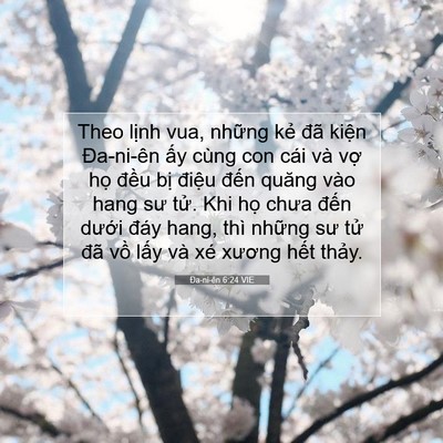 Picture 07 - Ða-ni-ên 6:24 VIE - Theo lịnh vua, những kẻ đã kiện - Bible Verse Picture