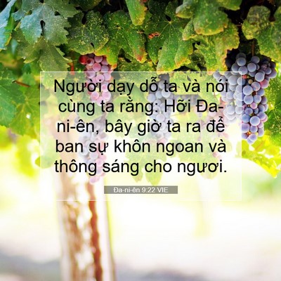 Picture 07 - Ða-ni-ên 9:22 VIE - Người dạy dỗ ta và nói cùng ta rằng: - Bible Verse Picture
