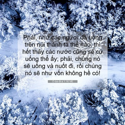 Picture 07 - Ô-ba-đi-a 1:16 VIE - Phải, như các ngươi đã uống trên núi - Bible Verse Picture