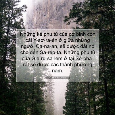Picture 07 - Ô-ba-đi-a 1:20 VIE - Những kẻ phu tù của cơ binh con cái - Bible Verse Picture