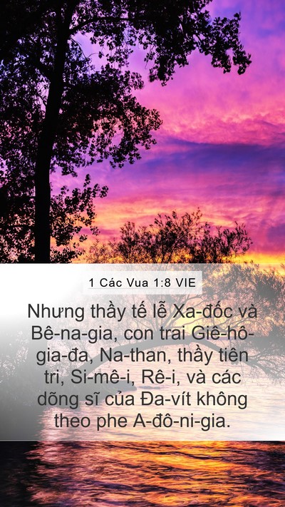 1 Các Vua 1:8 VIE Bible Verse Image