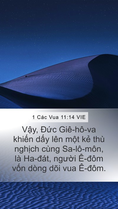 1 Các Vua 11:14 VIE Bible Verse Image