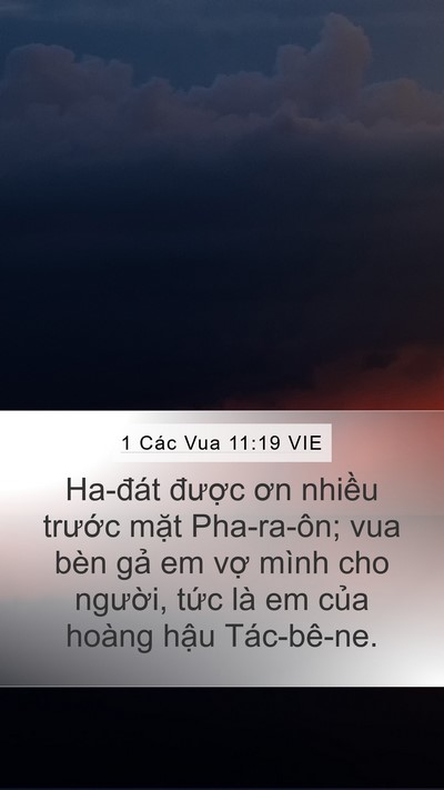 1 Các Vua 11:19 VIE Mobile Phone Wallpaper - Ha-đát được ơn nhiều trước mặt - Mobile Bible Verse Wallpaper