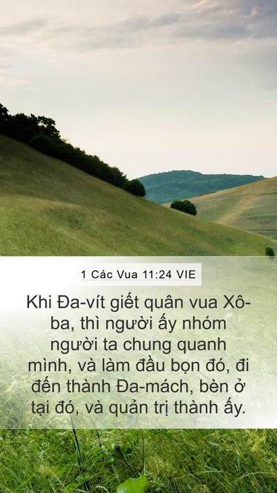 1 Các Vua 11:24 VIE Mobile Phone Wallpaper - Khi Đa-vít giết quân vua Xô-ba, thì - Mobile Bible Verse Wallpaper