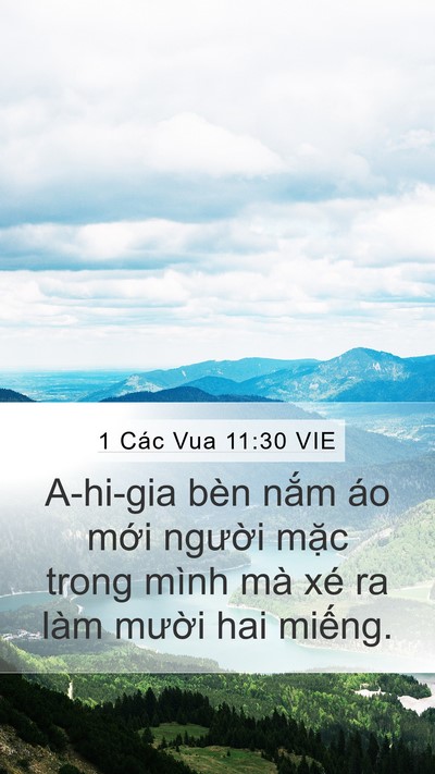 1 Các Vua 11:30 VIE Bible Verse Image
