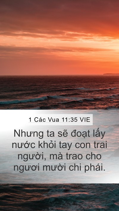1 Các Vua 11:35 VIE Bible Verse Image