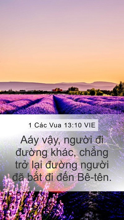 1 Các Vua 13:10 VIE Mobile Phone Wallpaper - Aáy vậy, người đi đường khác, chẳng - Mobile Bible Verse Wallpaper