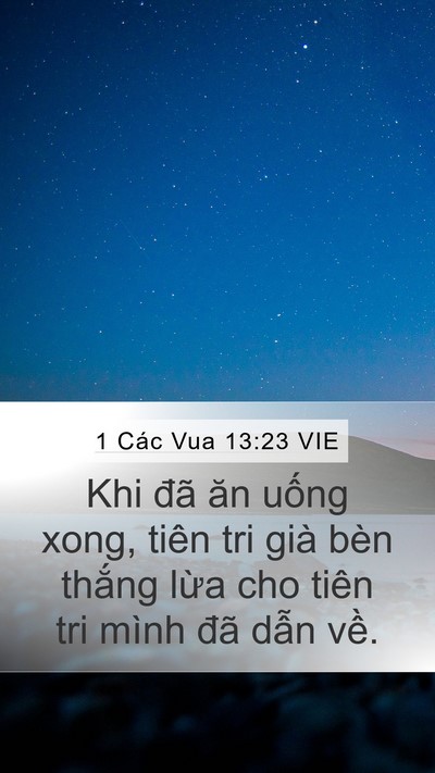 1 Các Vua 13:23 VIE Mobile Phone Wallpaper - Khi đã ăn uống xong, tiên tri già bèn - Mobile Bible Verse Wallpaper