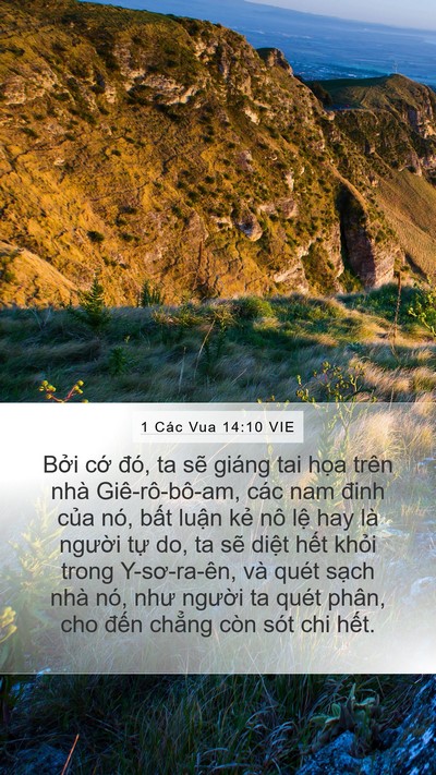 1 Các Vua 14:10 VIE Bible Verse Image
