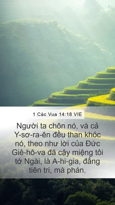 1 Các Vua 14:18 VIE Bible Verse Image