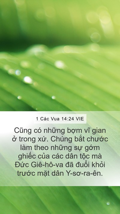 1 Các Vua 14:24 VIE Bible Verse Image