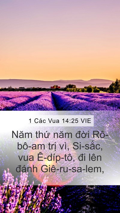 1 Các Vua 14:25 VIE Bible Verse Image