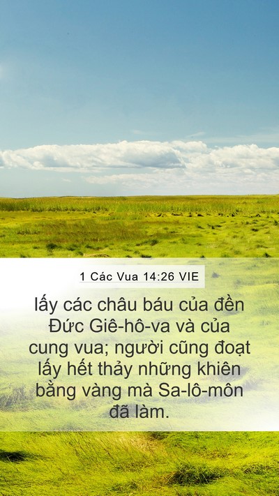 1 Các Vua 14:26 VIE Bible Verse Image
