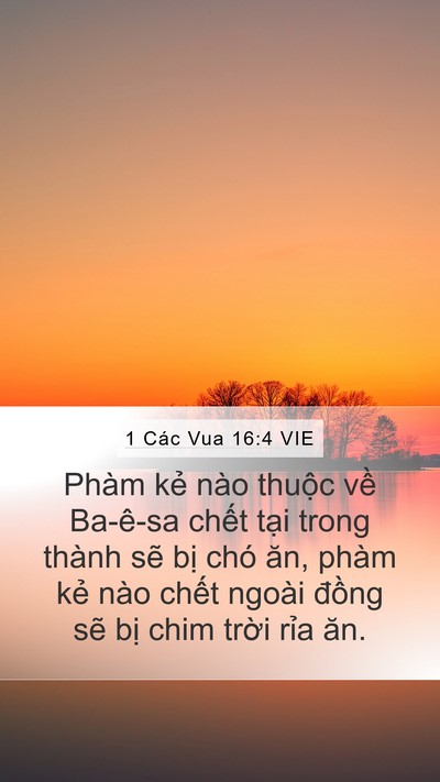 1 Các Vua 16:4 VIE Mobile Phone Wallpaper - Phàm kẻ nào thuộc về Ba-ê-sa chết - Mobile Bible Verse Wallpaper