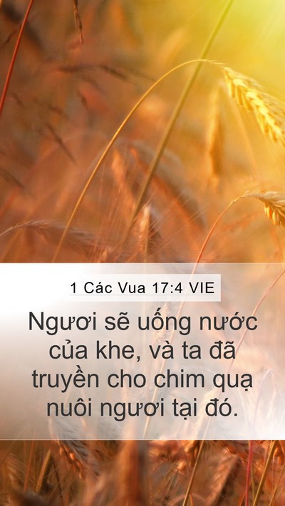 1 Các Vua 17:4 VIE Bible Verse Image