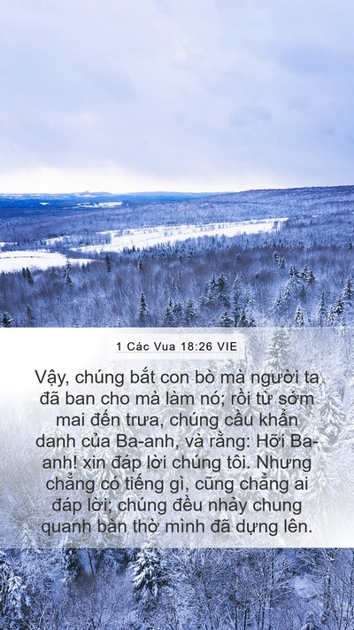1 Các Vua 18:26 VIE Mobile Phone Wallpaper - Vậy, chúng bắt con bò mà người ta đã - Mobile Bible Verse Wallpaper