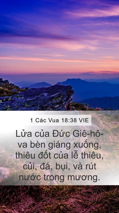 1 Các Vua 18:38 VIE Bible Verse Image