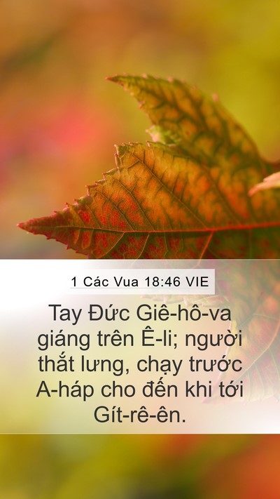1 Các Vua 18:46 VIE Bible Verse Image